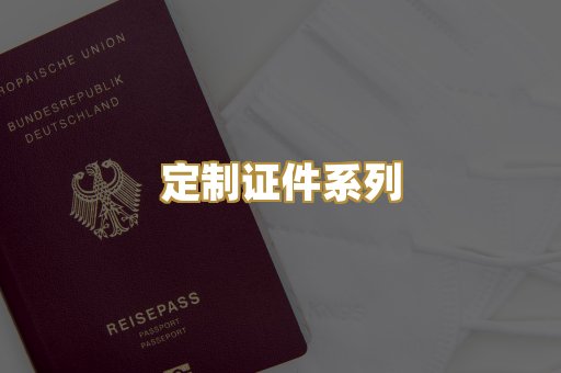 定制证件系列